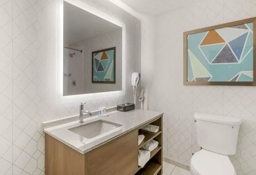 ホテル Comfort Inn & Suites Louisville Airport Fair & Expo