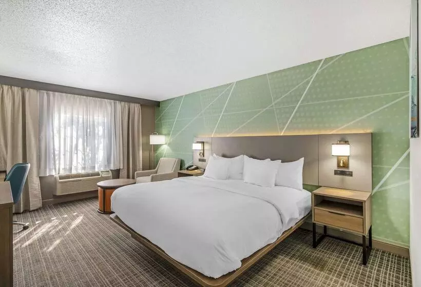 ホテル Comfort Inn & Suites Louisville Airport Fair & Expo