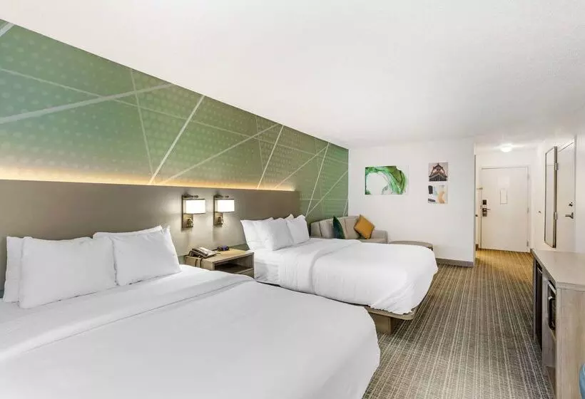 ホテル Comfort Inn & Suites Louisville Airport Fair & Expo