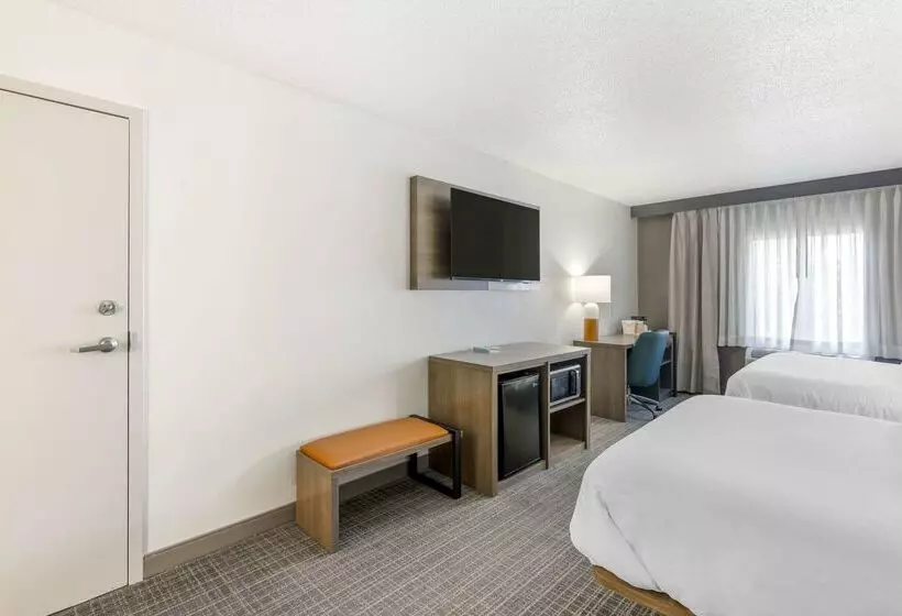 ホテル Comfort Inn & Suites Louisville Airport Fair & Expo