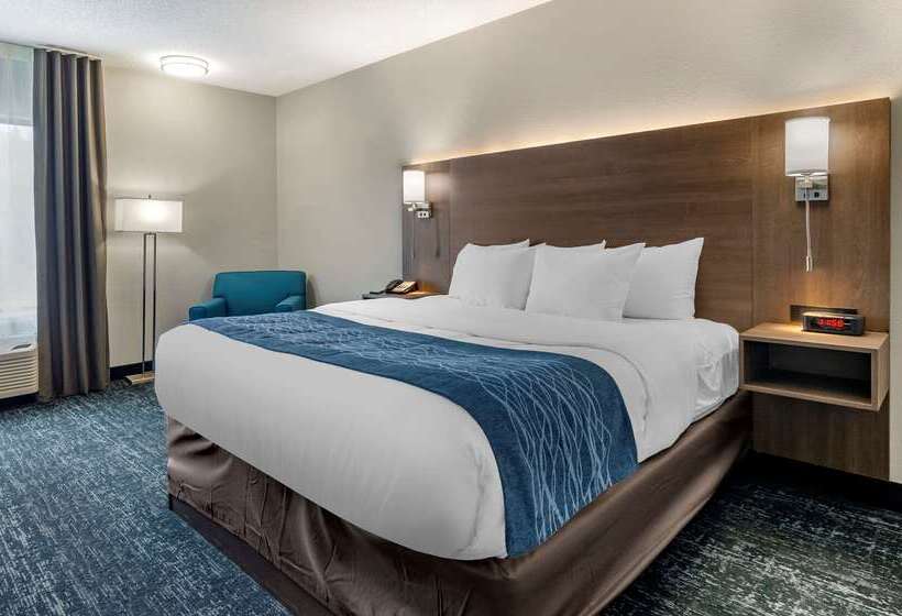 酒店 Comfort Inn & Suites Troutville   Roanoke North   Daleville