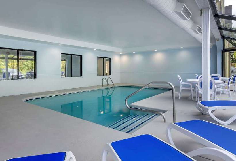 酒店 Comfort Inn & Suites Troutville   Roanoke North   Daleville