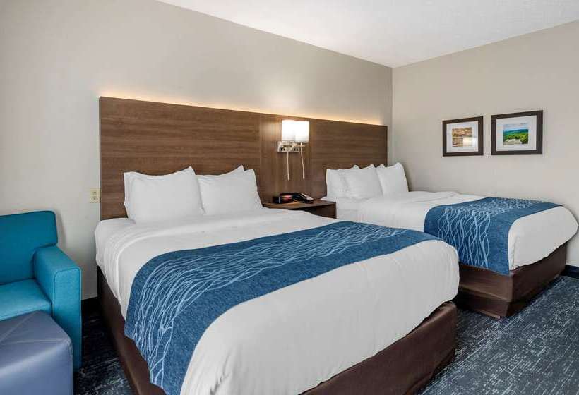 酒店 Comfort Inn & Suites Troutville   Roanoke North   Daleville
