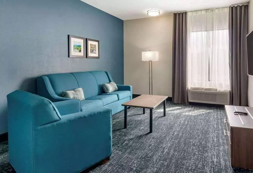 בית מלון כפרי Comfort Inn & Suites Troutville   Roanoke North   Daleville