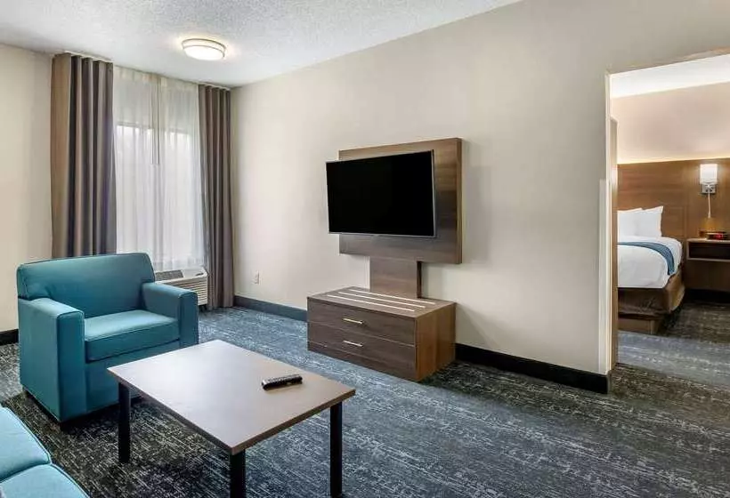 בית מלון כפרי Comfort Inn & Suites Troutville   Roanoke North   Daleville