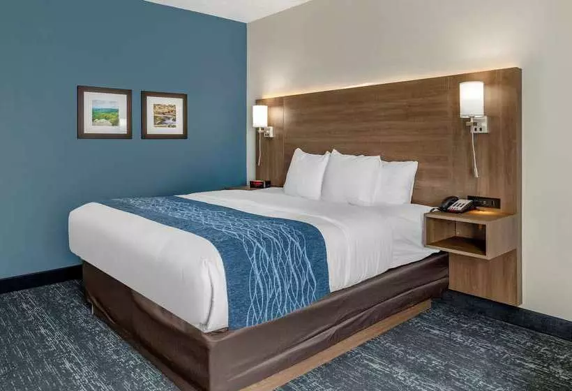 בית מלון כפרי Comfort Inn & Suites Troutville   Roanoke North   Daleville