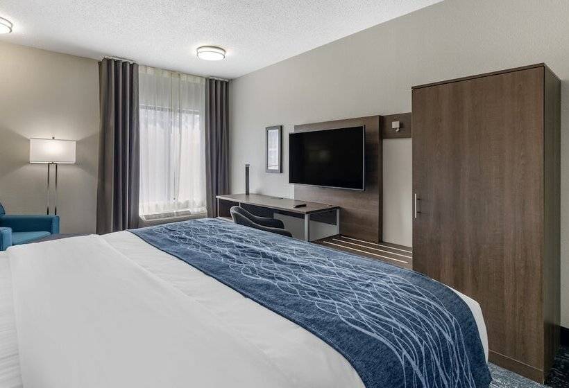 酒店 Comfort Inn & Suites Troutville   Roanoke North   Daleville