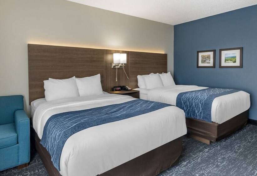 酒店 Comfort Inn & Suites Troutville   Roanoke North   Daleville