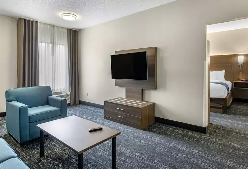 בית מלון כפרי Comfort Inn & Suites Troutville   Roanoke North   Daleville