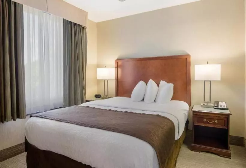 هتل Mainstay Suites Airport