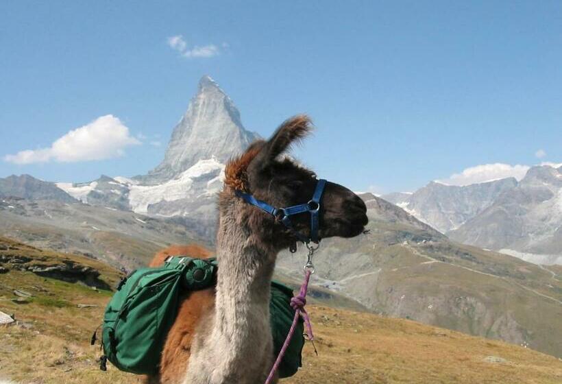 هتل Apart Montana