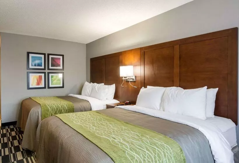 酒店 Quality Inn & Suites Ashland Near Kings Dominion