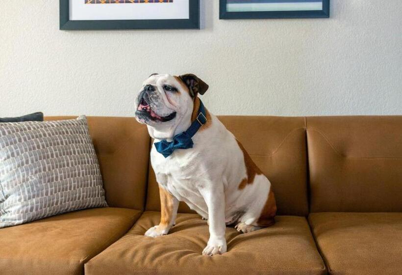 فندق Residence Inn By Marriott Boston Brockton/easton