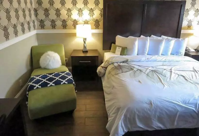 酒店 Rodeway Inn Logan International Airport