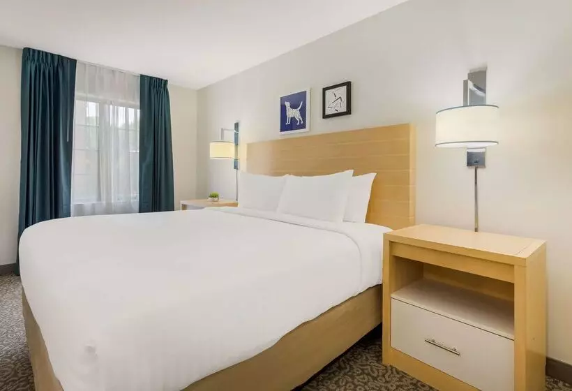 酒店 Sonesta Es Suites Charlotte Arrowood