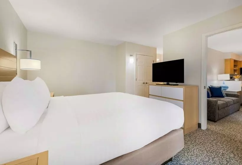 酒店 Sonesta Es Suites Charlotte Arrowood