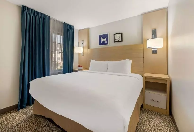 酒店 Sonesta Es Suites Charlotte Arrowood