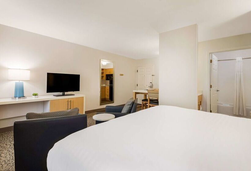 酒店 Sonesta Es Suites Charlotte Arrowood