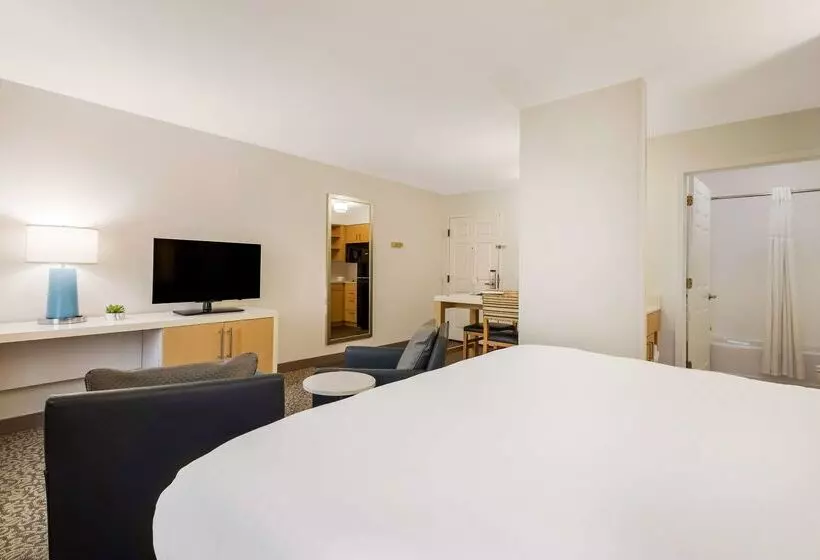 酒店 Sonesta Es Suites Charlotte Arrowood