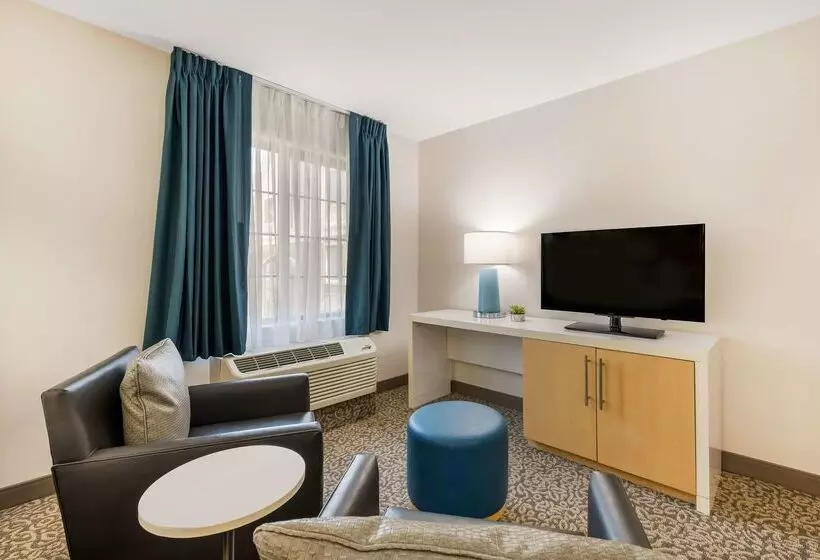 酒店 Sonesta Es Suites Charlotte Arrowood