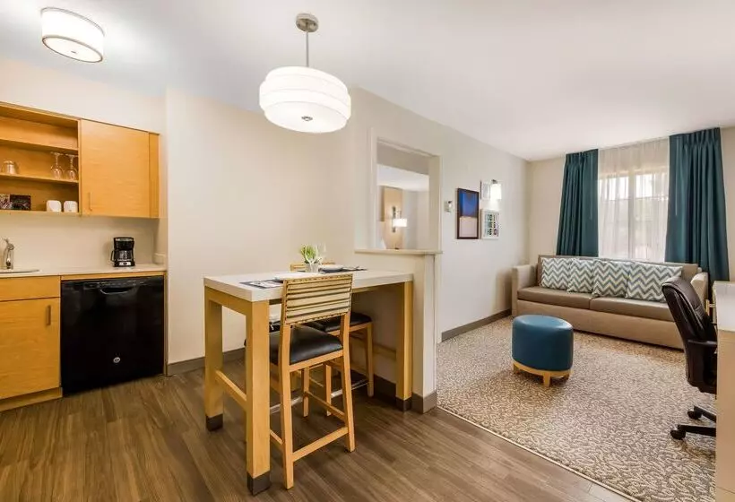 酒店 Sonesta Es Suites Charlotte Arrowood