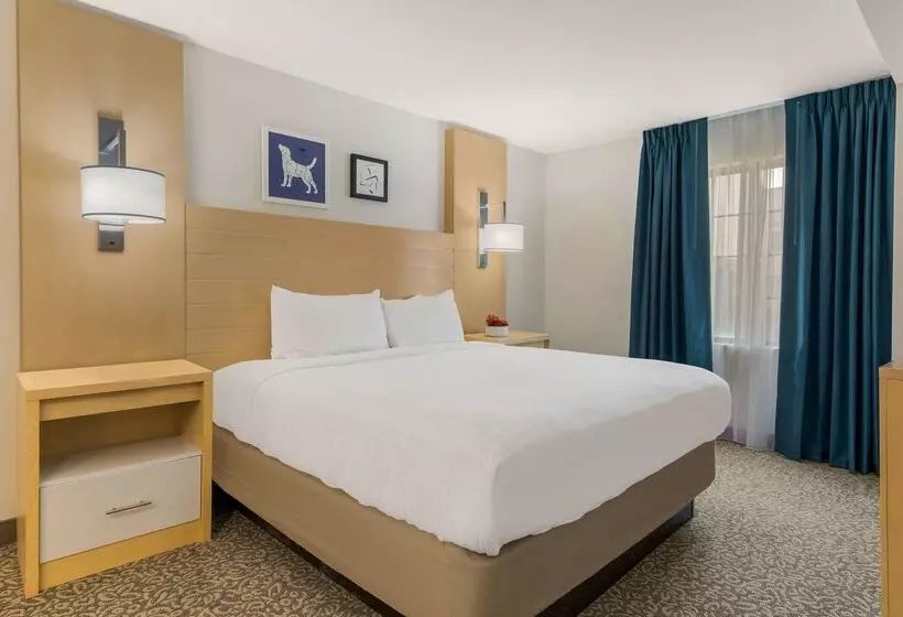 酒店 Sonesta Es Suites Charlotte Arrowood