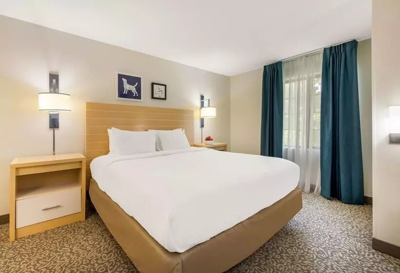 酒店 Sonesta Es Suites Charlotte Arrowood