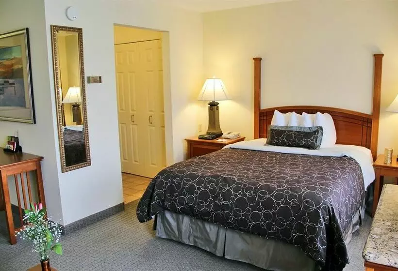 فندق Staybridge Suites Lincoln I 80, An Ihg
