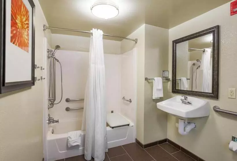 בית מלון כפרי Staybridge Suites Philadelphia/mount Laurel, An Ihg