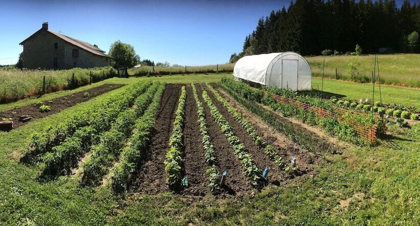Chambre D Hôte La Fessille B&b