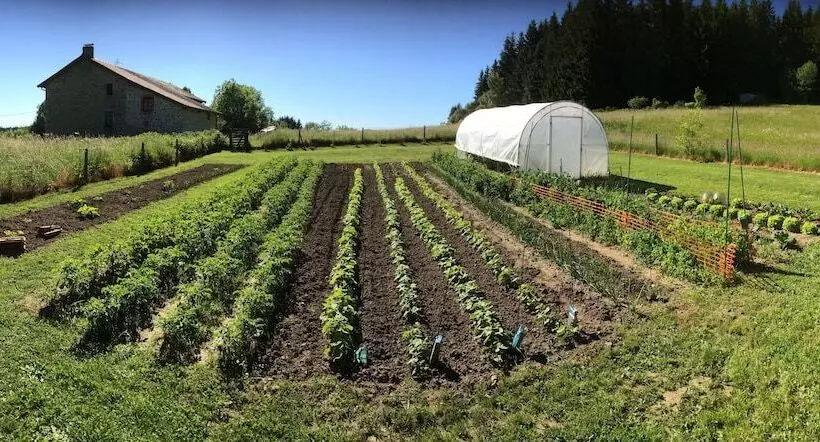 Chambre D Hôte La Fessille B&b