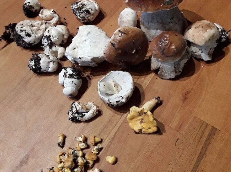 Chambre D Hôte La Fessille B&b