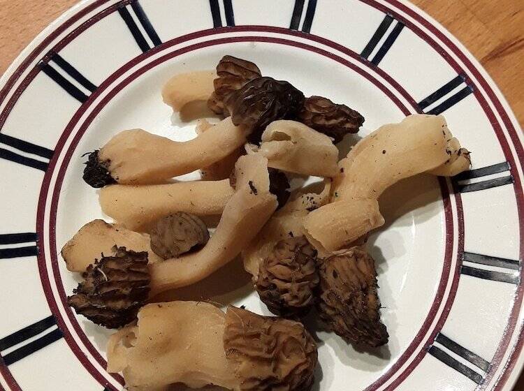 Chambre D Hôte La Fessille B&b