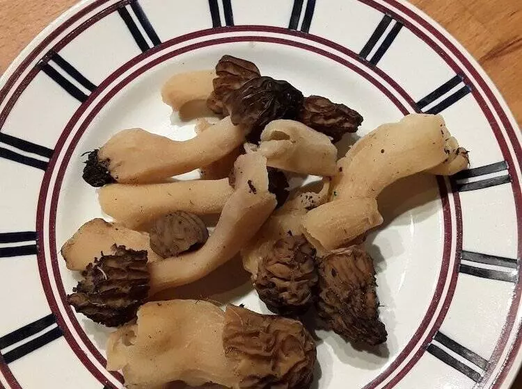 Chambre D Hôte La Fessille B&b