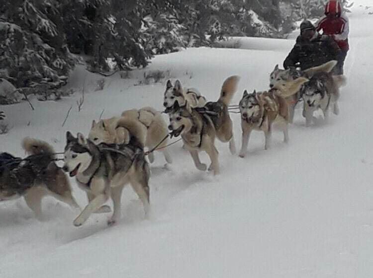 Chambre D Hôte La Fessille B&b