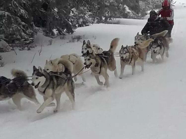 Chambre D Hôte La Fessille B&b