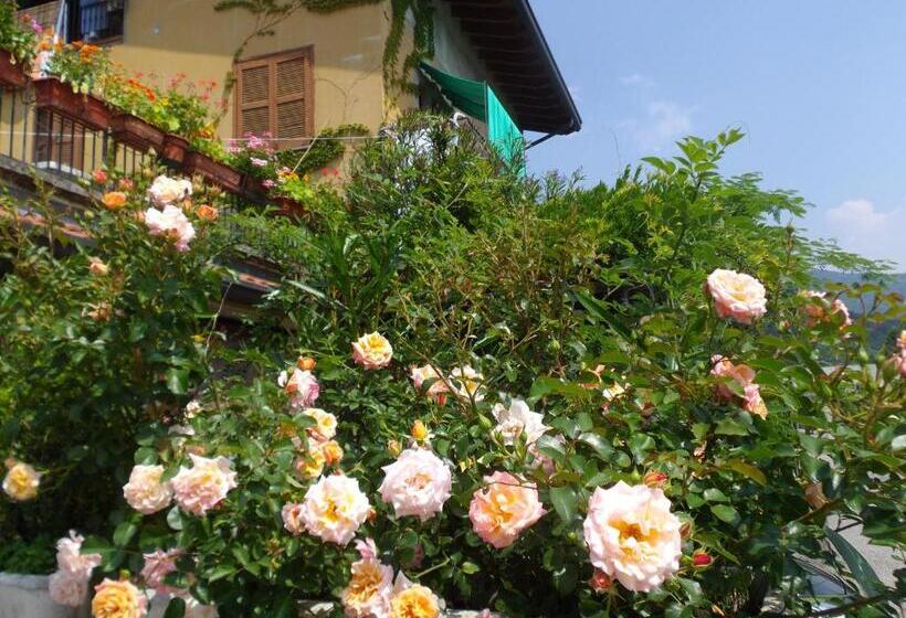 Bed and Breakfast Il Giuggiolo