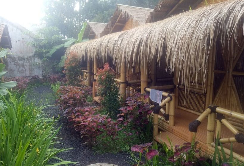 مبيت وإفطار Javana Homestay