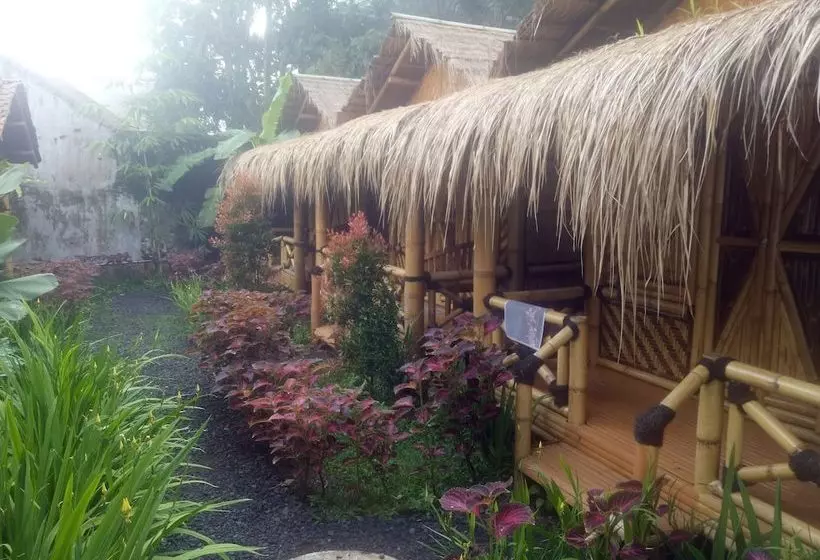 Bed and Breakfast Javana Homestay