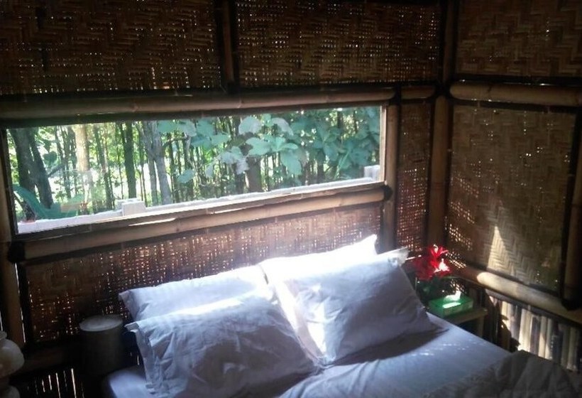 مبيت وإفطار Javana Homestay