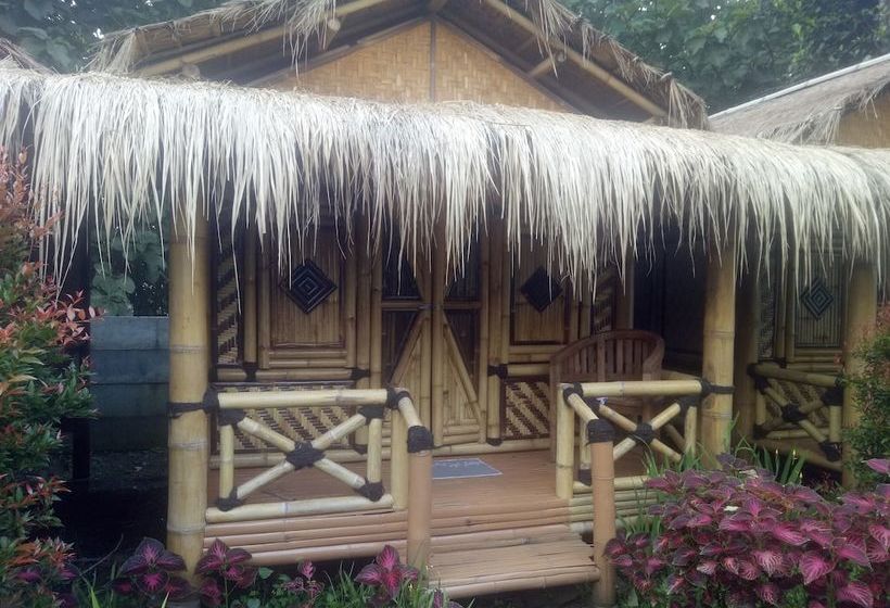 مبيت وإفطار Javana Homestay