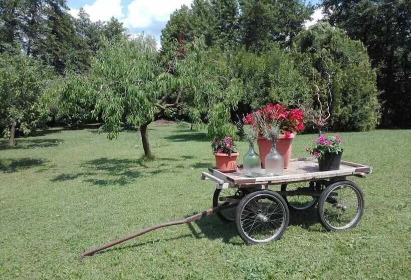 住宿加早餐 La Vie En Rose