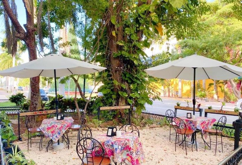 הוסטל Luna Nueva Boutique