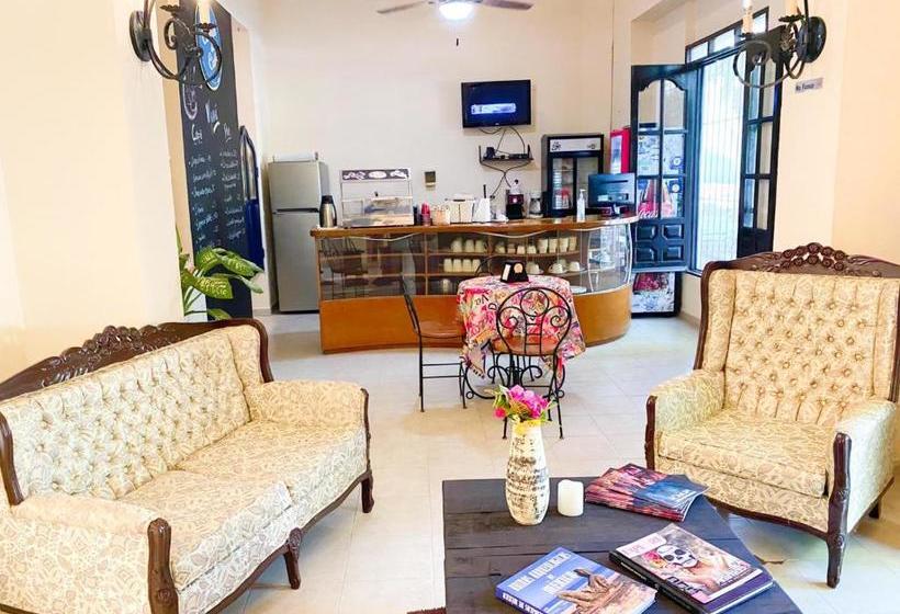 הוסטל Luna Nueva Boutique