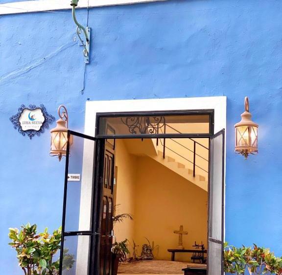 הוסטל Luna Nueva Boutique