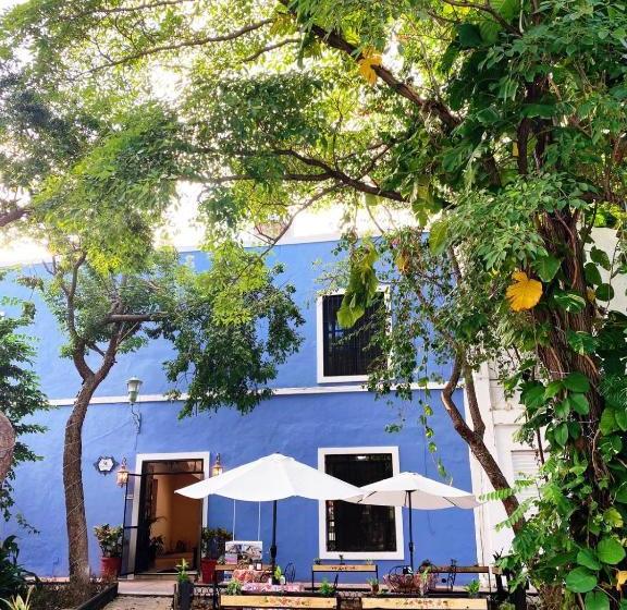 הוסטל Luna Nueva Boutique