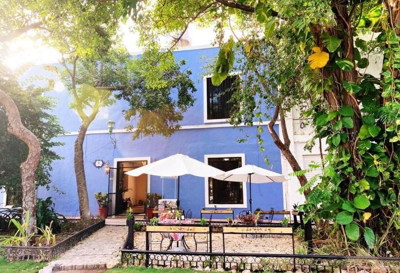 הוסטל Luna Nueva Boutique