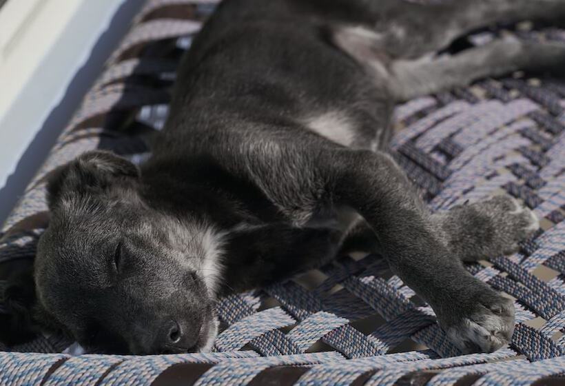 호텔 Indian Culture Hostel