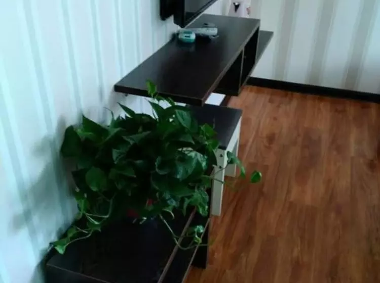 Hotelli Lele Business