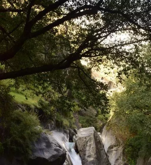 ホテル Offbeat Abodes  Tirthan Valley